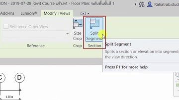 Section Split Segment - Revit 2020