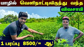 🔴 யாழில் இனி இப்படித்தான் தோட்டம் செய்ய முடியுமா? 🤔 | Village Garden | Jaffna Thanush