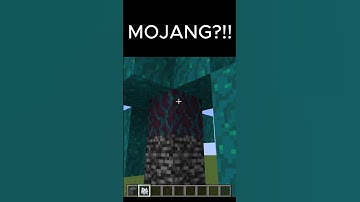 Minecraft Mojang Logic🤯 #minecraft #shorts