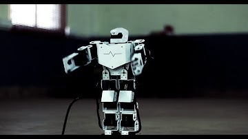 Programmable ROBOT showcase