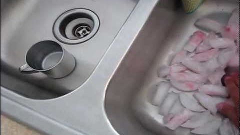 Cleaning a Garbage Disposal with ice cubes and rock salt