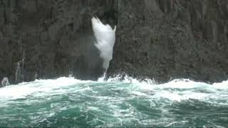 Blowhole