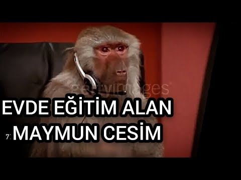 SAPLAMA CESİM #1 (Antep Dublaj)