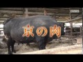 KBS京都テレビ 「あぐり京都」 京の肉 八木さん(亀岡市) 2017年3月放送
