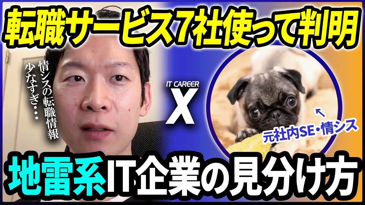 社内SE→情シス（超大手事業会社）に転職成功！転職媒体7社を利用して分かった各サービスにマッチするエンジニアの特徴とは？【IT CAREER X Novski】#情シス #転職