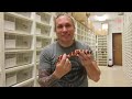 21 Awesome Pet Snakes You Won't Believe Actually Exist! SnakeBytesTV