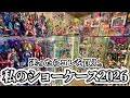 【フィギュア大好きおじさんの部屋】コスパ最強ショーケース紹介。ルームツアー2026 ドラゴンボール ONEPIECE ヒロアカ NARUTO ジョジョ BLEACH ホットトイズ MARVEL DC