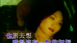 Video thumbnail of "許美靜 - 都是夜歸人"