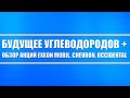 Обзор акций Exxon Mobil, Chevron, Occidental Petroleum + Будущее углеводородов (грядут изменения)