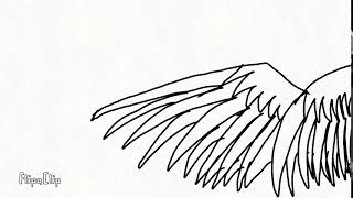 Animation wing test