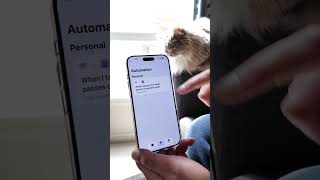 How To Set Up Auto Apple Pay Expense Tracking