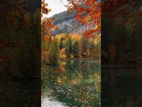 Lake Blausee: Switzerland