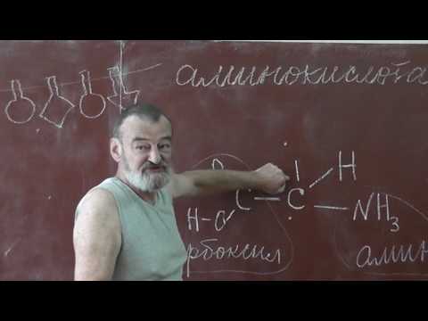 22 Аминокислоты. Пептидная связь. Первичная и вторичная структуры
