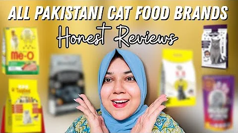 Video 11712801: cat don, persian cat, persian kitten, cat food, review, cats dogs, pets