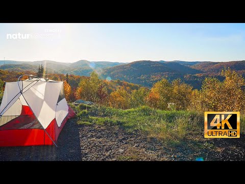 Relaxing Camping In The Mountains Scenery (4K)🏕️ Soothing Music For Sleep, Meditation & Relaxation