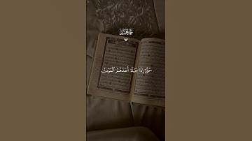 تلاوة خاشعة الشيخ أحمد العجمي #القرآن_الكريم #المصحف #اكسبلور #لايك #الرحمن #quran