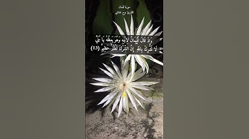 آية ١٣ "وإذ قال لقمان لابنه وهو يعضه" | من سورة لقمان | (١ من ١٠ وصايا لقمان لابنه)