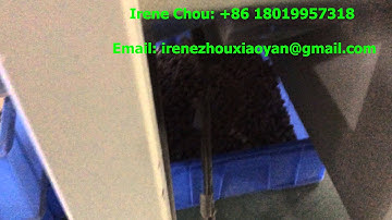 Angelon Peanut Color Sorter