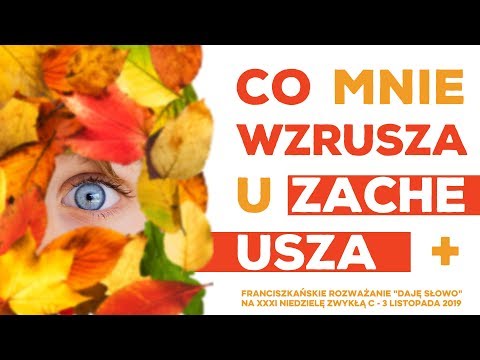 Co mnie wzrusza u Zacheusza: Daję Słowo - XXXI niedziela C - 3 XI 2019