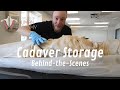 Behindthescenes look at how human cadavers are stored  normally a patreon exclusive