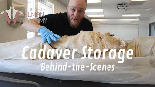 Behind-the-Scenes Look at How Human Cadavers Are Stored | Normally a Patreon Exclusive screenshot 5
