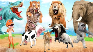 Giant Tiger Cow Buffalo Lion Gorilla vs Giant Dinosaur Attack Cow Cartoon Goat Rescue Giant Elephant