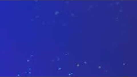 سورة الطلاق بصوت الشيخ القارئ سعد الغامدي