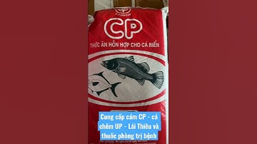 Cung cấp cám CP tạo vàng 45 đạm cho Lươn 08 39 79 26 79          ĐC : Sông Ray Cẩm Mỹ Đồng Nai