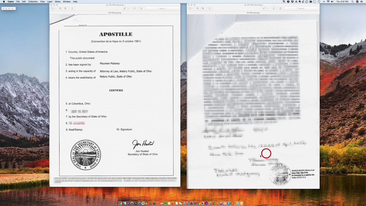 How to Apostille an Ohio Power of Attorney YouTube