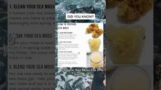 How To Prepare Sea Moss seamoss seamossgel seamossbenefits drsebi algae