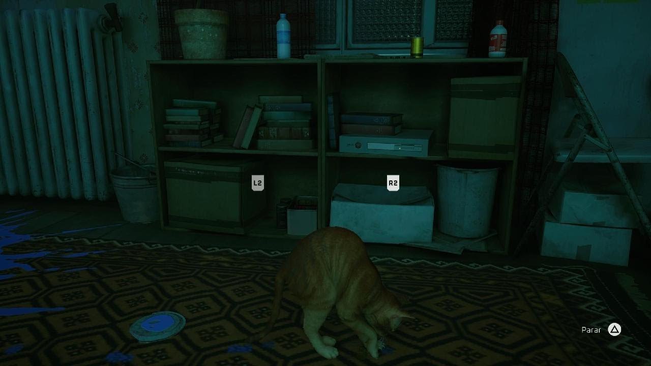 Stray scratching the carpet