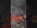 走った先に...【shorts】#minecraftshorts #minecraft #マイクラ #マインクラフト #shortvideo #shortsvideo #shorts #short
