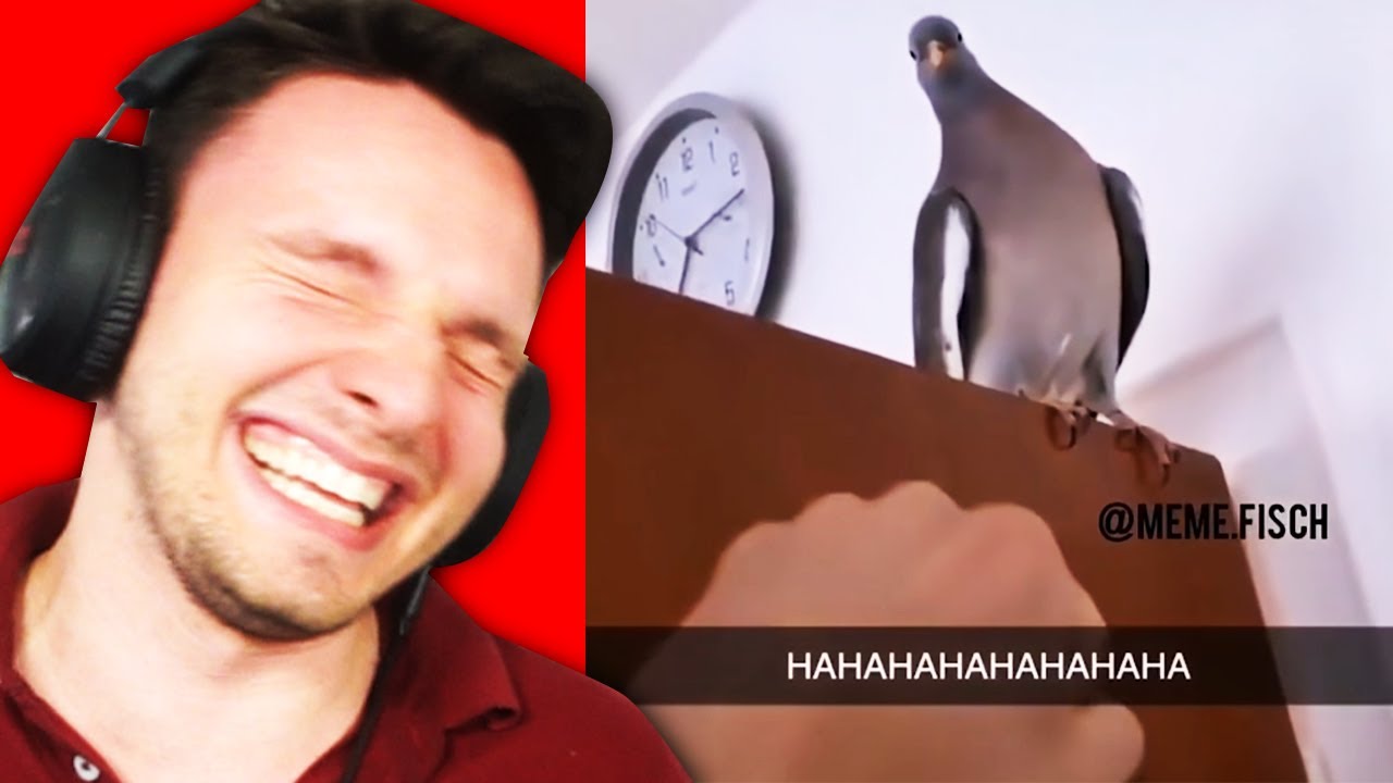 Die LUSTIGSTEN Deutschen Memes