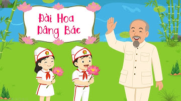 [Game PPT]: ĐÀI HOA DÂNG BÁC | Cô Đinh