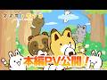 TVアニメ「タヌキとキツネ」PV