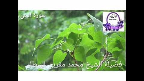 سورة الجن - الشيخ محمد البيطار