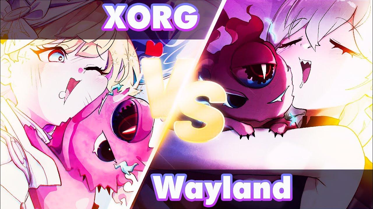 VS. WAYLAND QUE ES MEJOR Y POR QUE? YouTube