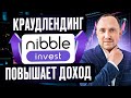 Nibble Invest: 33% на инвестициях в краудлендинг?! Обзор новых предложений в ноябре