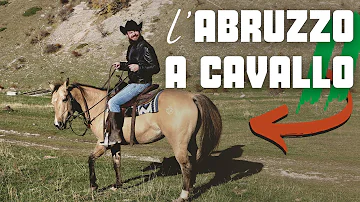 Dove andare a cavallo in Trentino?