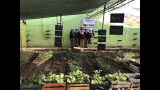 HUERTO ESCOLAR 'ESPACIO PARA LA CONVIVENCIA E IMPULSOR A UNA SANA ALIMENTACIÓN