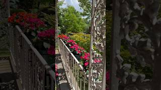RailScapes™️ Plant Hangers from PlantTraps.com for floating gardens. #balconygarden #planttraps