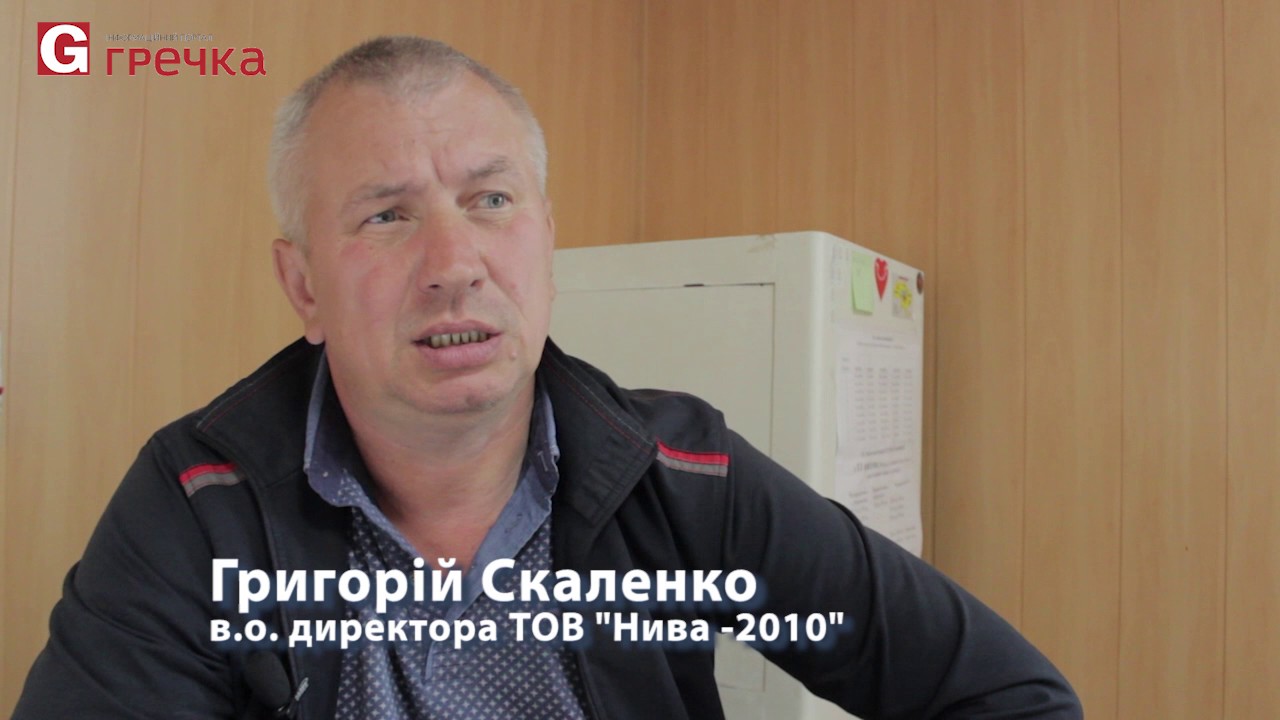Нива строй детчино