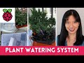 DIY Raspberry Pi Arduino Plant Watering System