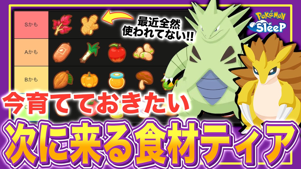 次に必要になる食材はコレ！新サラダ来るし、新カレーや次の料理環境を考察！【ポケモンスリープ】