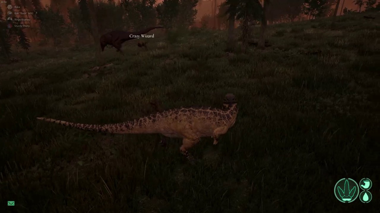 Chad Pachy vs Virgin Rex