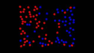 Famous 2D Elastic Collisions for charged particles Wealth