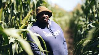 Project Visit | Sihle Maseko at the Zanyokwe Irrigation Scheme