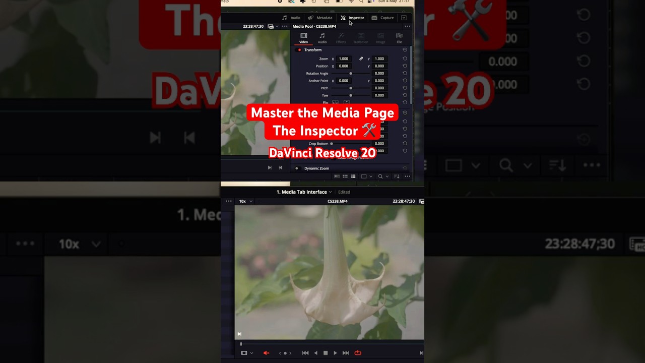 Master the Media Page with the Inspector Pt 1 | DaVinci Resolve 20! 