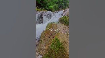 صوت ملائكي راحة نفسية بدون حقوق #اكسبلور #بحر #راحة_نفسية #القارء #حالات_واتس #تيكتوك #لايك #تلاوه