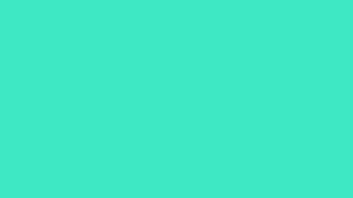 Exclusive TURQUOISE SCREEN - 1 Hour - 4K / HEX #30D5C8, RGB (48,213,200) Information